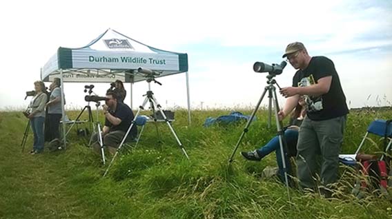 Durham Wildlife Trust at the Big Watch Weekend in 2014