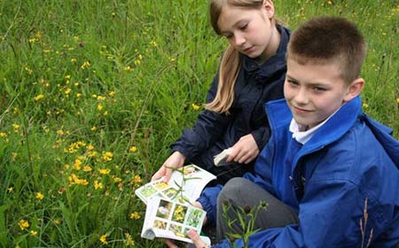 School children identify wildflowers at Cassop Vale