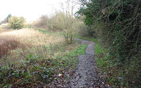 Footpath into Dalden Dene before path works