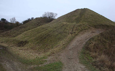 Fulwell Quarry - after cut and rake on grassland site