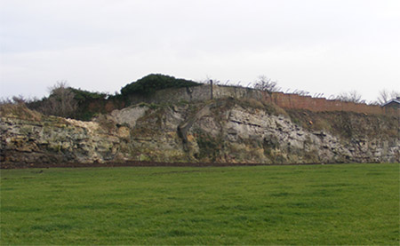 Fulwell Quarry - geology shown after works