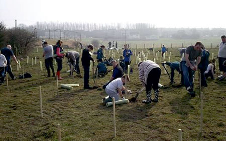 Wheatley Hill tree planting at Gore Burn woods