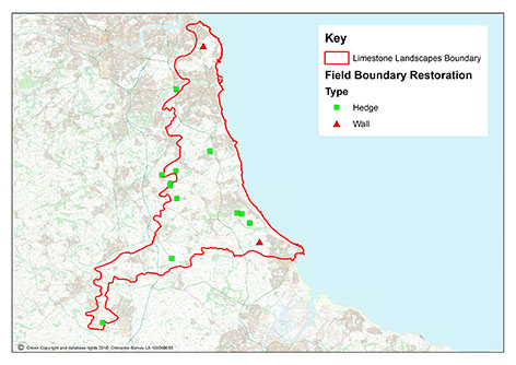 Map for Field Boundary Restoration