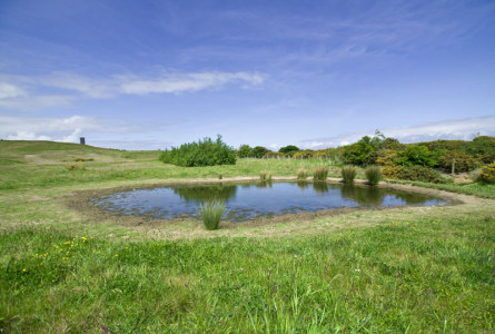Pond near Easington Colliery