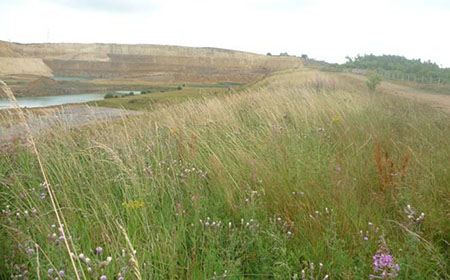 Raisby Quarry - Restored Grassland in 2014