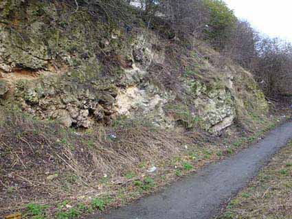 Scrub removed from exposures in Ryhope Cut