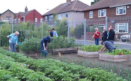 Volunteers at the Waverley allotments in Hartlepool
